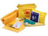 Chemical spill kit for vehicle in bag